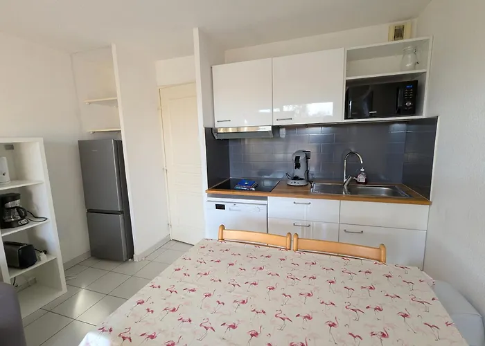Sol-Y-Days Mayflower, Appartements Climatises Residence Avec Piscine Proche Centre