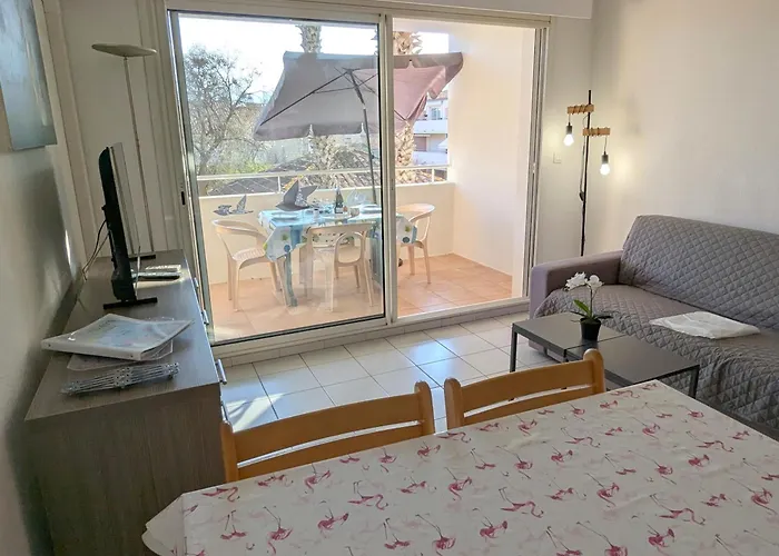 Sol-Y-Days Mayflower, Appartements Climatises Residence Avec Piscine Proche Centre